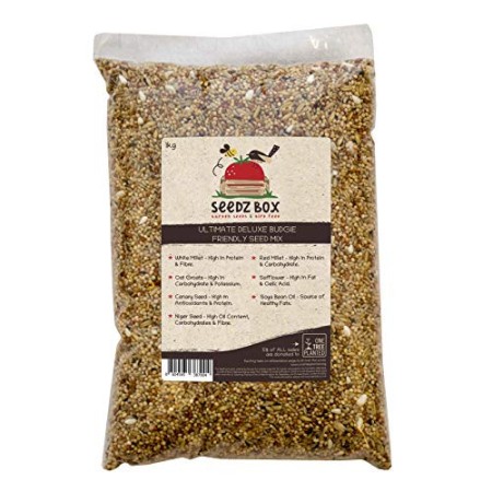 Seedzbox Mangime Naturale per Cocorite e Pappagallini Semi di Miglio Rosso Sacco da 1 Kg