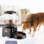 Anself Distributore Automatico per Gatto & Cane da 5,5 Litri Display LCD