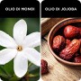 Phyto Phytocolor 6.34 Biondo Scuro Ramato Intenso Colorazione Permanente senza Ammoniaca, 100 % Copertura Capelli Bianchi