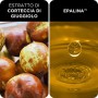 Phyto Phytocolor 6.34 Biondo Scuro Ramato Intenso Colorazione Permanente senza Ammoniaca, 100 % Copertura Capelli Bianchi