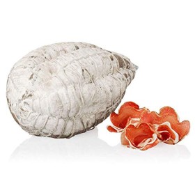 Salumi Pasini Fiocco, Tipico, Intero, 1,7 Kg