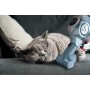 Hoover HF722PTLG - Scopa Elettrica senza Fili Multifunzione H-Free 700, Speciale Animali, ANTIALLERGENICO