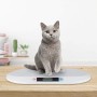 little Choice Bilancia Digitale per Bimbi, per Neonati Fino a 20 kg, Anche per Piccoli Animali Batterie Incluse, Bianco