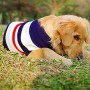 ASOCEA Cane Strisce Classico Maglione Invernale Calore Animali Vestiti Abbigliamento per Cani Medio e Grande Grande