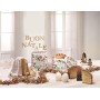 Panettone BIO di Fraccaro Spumadoro, con soffice impasto arricchito da pregiata uvetta sultanina e canditi da scorza d’arancio