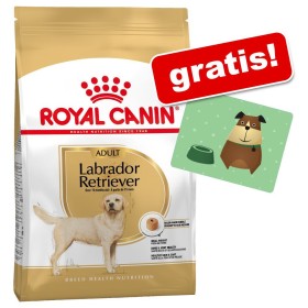 Royal Canin Breed + Sottociotola Spike gratis! - 7,5 kg Cavalier King Charles Adult