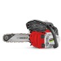 GREENCUT GS250X Motosega potatura a benzina 25,4 cc e 1,4 cv con spada da 10" avviamento Easy-Start, sistema anti-vibrazione, in