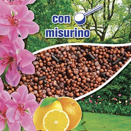 VIGORFIORI S, concime granulare completo con pronto effetto, lunga durata e ferro altamente rinverdente per piante e fiori, kg 1