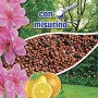 VIGORFIORI S, concime granulare completo con pronto effetto, lunga durata e ferro altamente rinverdente per piante e fiori, kg 1