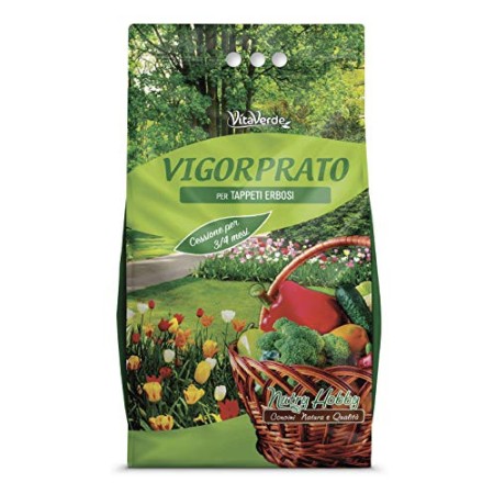 VIGORPRATO UNIVERSALE, concime per prati per tutto l'anno, kg 5, Vitaverde