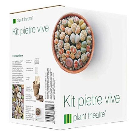 Kit"Pietre vive" Plant Theatre - kit regalo con semi di pietre vive. Un'unica confezione che raccoglie tutto il necessario per c