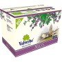 Valverbe Tisana Malva Pura Biologico 20 Filtri - Pacco da 6 - 120 g