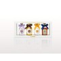 Distillerie Nonino, set degustazione Glamour, confezione regalo composta da 4 bottiglie - totale 400 ml