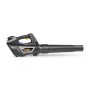 Alpina Soffiatore a Batteria, 40 V, Nero, 50 m/s