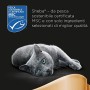 Sheba Cibo per Gatto, Filetti di Tonno e Gamberi 80 g - 24 Vaschette