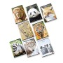 Pigna ANIMAL 02307651F Maxi Quaderni A4 Quadretto 1F con Margine, 1 cm, Confezione da 10 Pezzi