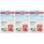 Pompadour Fredde Infusioni Zenzero & Mirtillo - 18 filtri - (confezione da 3)