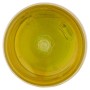 L'Angelica, Succo Puro Concentrato d'Aloe Vera, Aloe Vera da Bere, Integratore con Vitamina C e Vitamina E per la Depurazione de