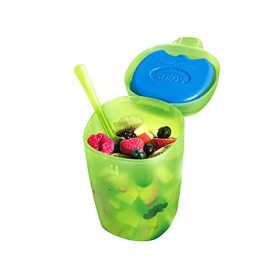 Snips Fruit Ice-Contenitore per Frutta con Ghiaccio, Verde Trasparente, 0,50 lt