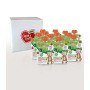 Cuore di Frutta Frullato di Frutta Bio, Mela, Fragola, Uva Rossa e Avena - Confezioni da 90G, 12 Unità