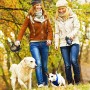 SPLAKS Guinzaglio per Cani, Guinzaglio per Cani Retrattile 8M con Luce e Sacchetti, Adatto per Cani di Media e Grande Taglia, Su