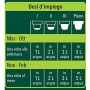 COMPO Concime liquido per Piante Verdi, Per piante d'appartamento e da balcone, 1 l