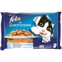 Purina Felix le Ghiottonerie Umido Gatto con Manzo e Carote e con Pollo e Pomodoro, 40 Buste da 100 g Ciascuna, 10 Confezioni da