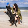 Giocattoli per cani PETSFRIENDS. Giochi per cani masticabili, per l'attivazione mentale del cane. Con guanto togli peli e zaino 