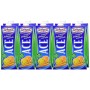 Sterilgarda Bevanda Ace - Pacco da 10 x 1000 ml