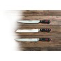 Wüsthof TR4522 / 14 Classic - Coltello da Cucina