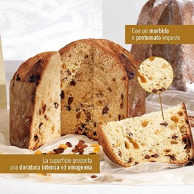 Panettone artigianale BIO Senza Glutine di Fraccaro Spumadoro, dolce natalizio Made in Italy – 500 gr.