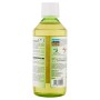 L'Angelica, Succo Puro Concentrato d'Aloe Vera, Aloe Vera da Bere, Integratore con Vitamina C e Vitamina E per la Depurazione de