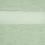 Amazon Basics, Everyday - 2 teli bagno, 2 asciugamani per il viso e 2 asciugamani piccoli, Verde mare