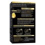 Schwarzkopf Palette Professional Performance Oleo Intense, Tinta per Capelli Senza Ammoniaca, Copertura dei Capelli Bianchi, Ton
