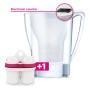 BWT Penguin Caraffa, Rosa, 1 Cartuccia filtrante Inclusa