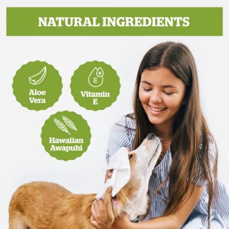 Salviette Pogi per toelettatura - 100 salviette deodoranti per Cani - biodegradabili, Profumo di tè Verde, Naturali