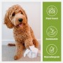 Salviette Pogi per toelettatura - 100 salviette deodoranti per Cani - biodegradabili, Profumo di tè Verde, Naturali