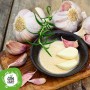 CiboCrudo Aglio in Polvere Essiccato al Sole Crudo Bio, Aglio Crudo Confezionato in Vasetti di Vetro Ermetici per Mantenere Arom
