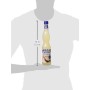 Sciroppo coconut cl.56