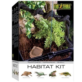 Exo Terra PT2660 Kit Habitat per Rettili Foresta Pluviale Small