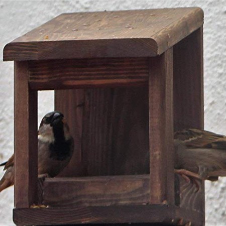 Mangiatoia per Uccelli Casetta in Legno Wengue