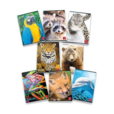 Pigna Animal 02302831R, Quaderno formato A4, Rigatura 1R, righe per medie e superiori, Carta 80g/mq, Pacco da 10 Pezzi
