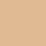 BioNike Defence Color Lifting Fondotinta Anti-Age (Colore 202 Sable) - 30 ml.