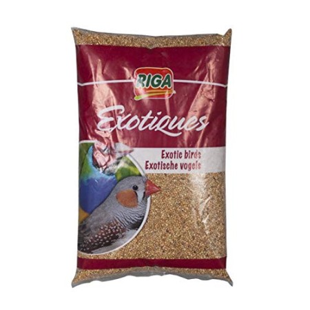 Riga - Miscela per Uccelli esotici, Confezione da 4 (4 x 1 kg)