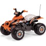 Peg Perego IGOR0066 - Quad Elettrico Corral T-Rex, Due motori da 165W, 3 anni +