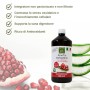 Benessence - Succo di Aloe Vera da Bere e Melograno - 3 L - Made in Italy