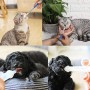 OneBarleycorn - Mangiatoia per Medicine Riutilizzabile, con Punta in Silicone, siringhe e Pillole,Liquido, per Cani, Gatti, Anim