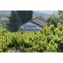 Chateau la Gordonne Vino Rose Verite du Terroir Chateau la Gordonne - 1.5 liters