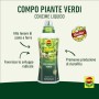 COMPO Concime liquido per Piante Verdi, Per piante d'appartamento e da balcone, 1 l
