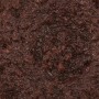 Cibocrudo Patè di Olive Nere Bio, Coltivati in Italia, Solo Ingredienti Biologici, 93% di Olive, Gusto Intenso e Deciso, per Pa